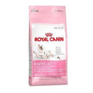 ROYAL CANIN GATO BABY CAT  X 0.4 KG