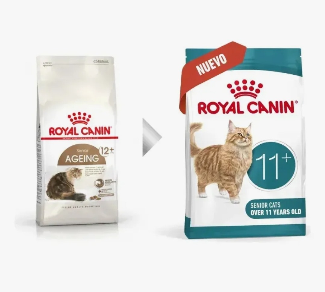 ROYAL CANIN GATO AGEING +11 2KG