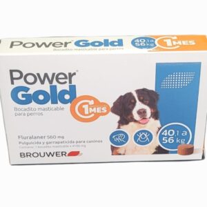 POWER GOLD 1 mes 40,1 a 60 kg