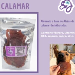 SNACK NATURAL - CALAMAR 30GR