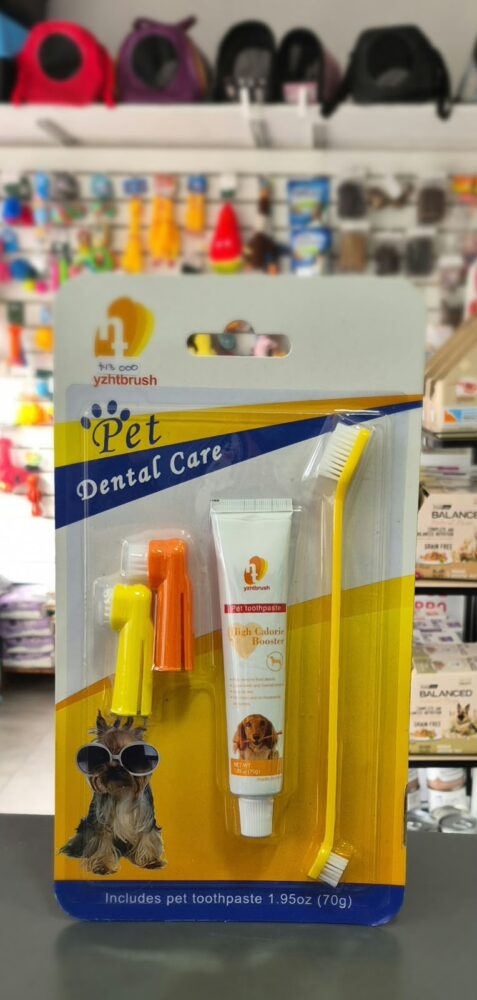 Cepillo + pasta dental